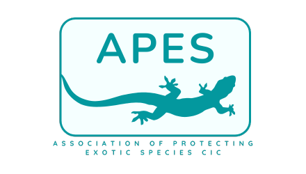Logo of APES Hub